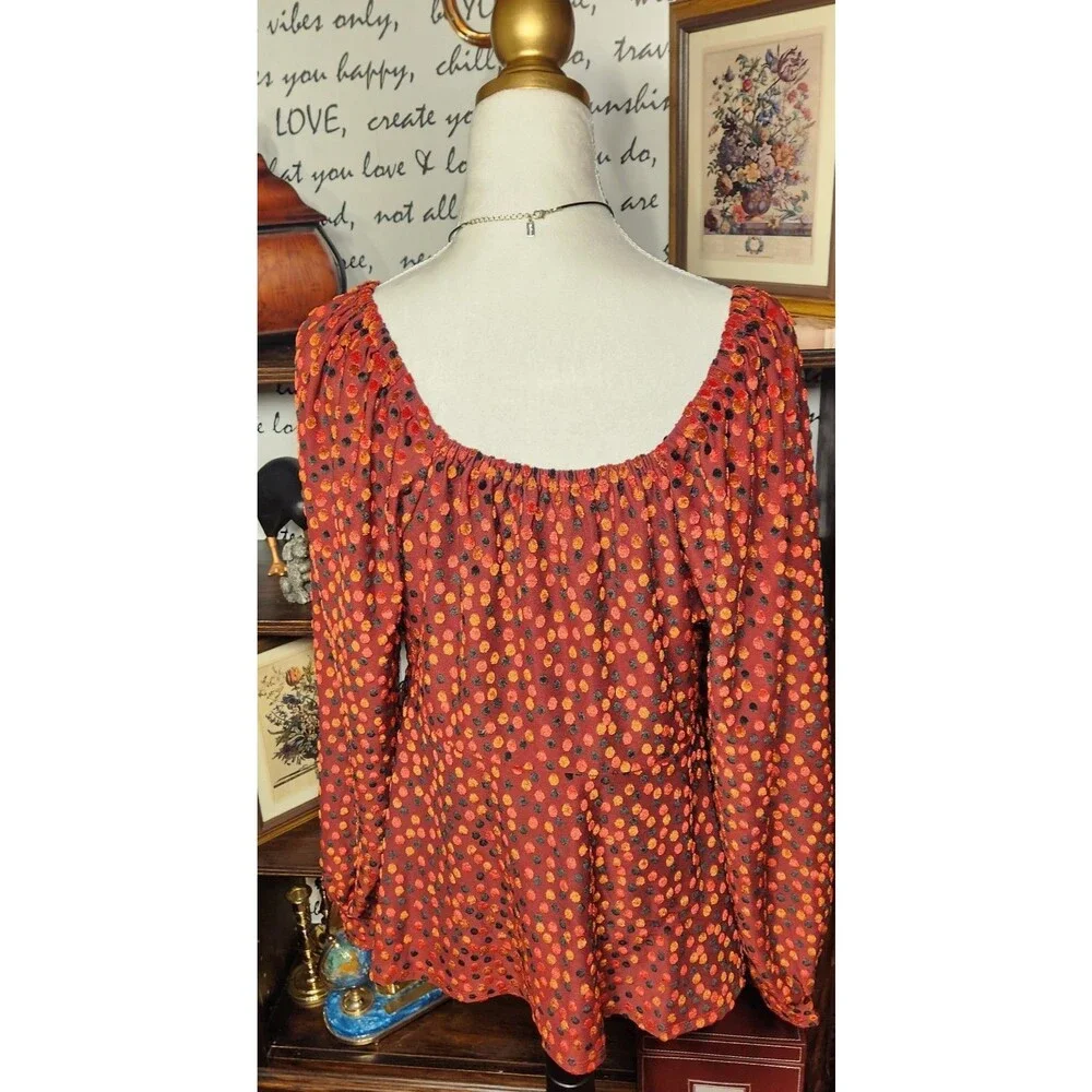 Babydoll Velvet Top Last Letter Burnout Blouson Sleeves Sz 14 Lane Bryant - Picture 5 of 16